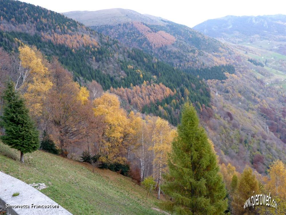 48 Ancora colori di autunno.JPG